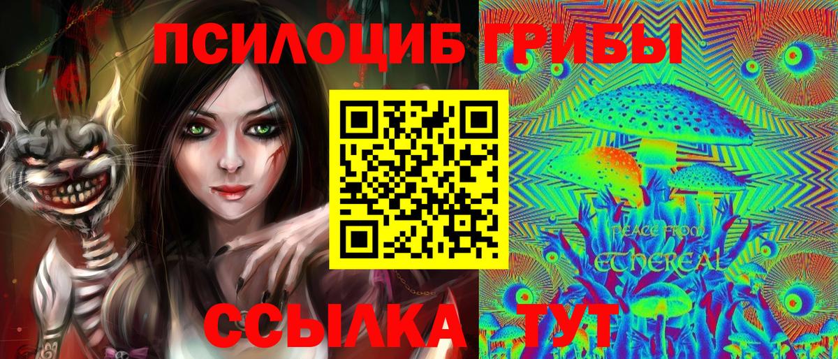 Галлюциногенные грибы Cubensis Чусовой