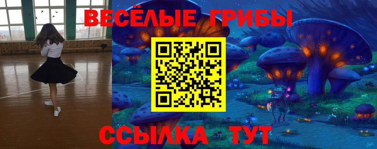 Чусовой  хочу наркоту  Галлюциногенные грибы прущие грибы  Вход с VPN  Псилоцибиновые грибы Magic Shrooms 
